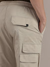 Regular Fit Beige Trousers
